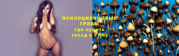 прущий лед Каменск-Шахтинский