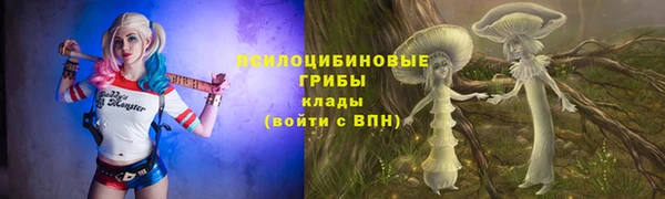 марки nbome Каменногорск