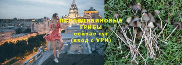 марки nbome Каменногорск