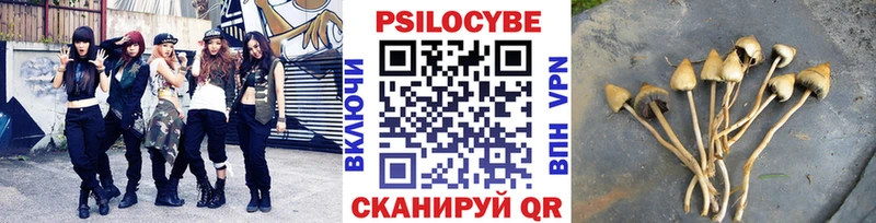 Галлюциногенные грибы прущие грибы  Купить где  Губкин 